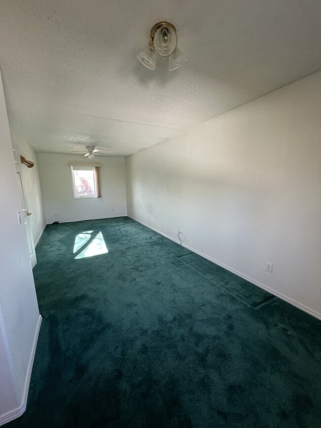 Building Photo - 454 Paxon St