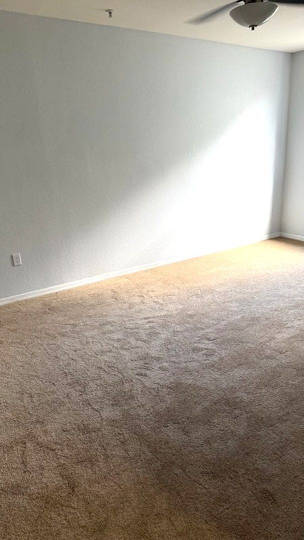Building Photo - First Floor 2 Bedroom at The Registry @ Michigan Park