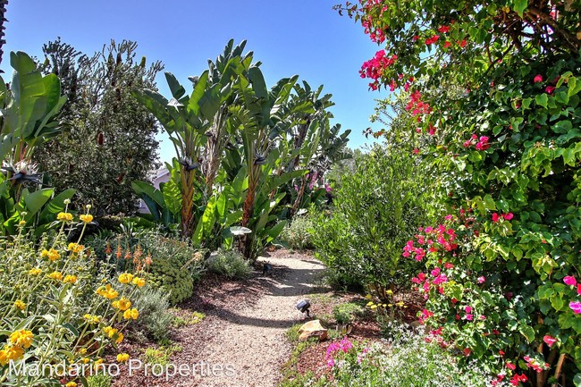 Building Photo - 3 br, 1.5 bath House - 121 Calle Alamo