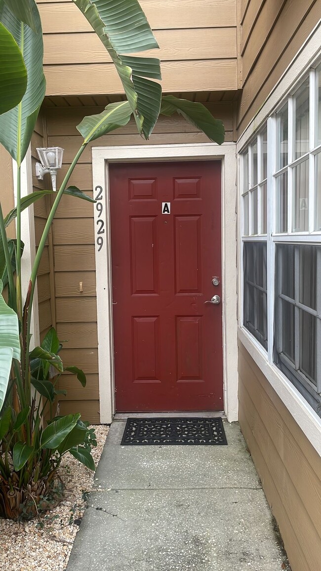 Photo - 2929 Fan Palm Dr Townhome