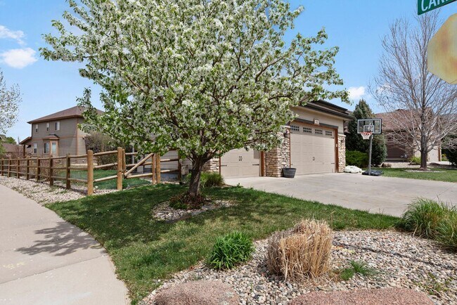 Building Photo - Desirable Ranch home in Clydesdale Park