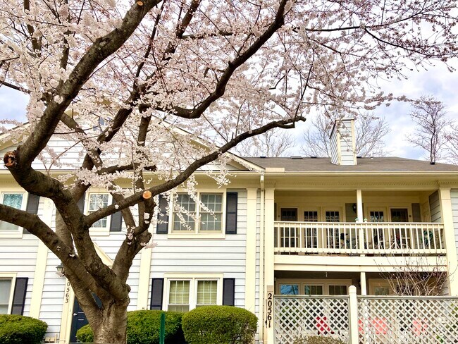 Foto del edificio - 20563 Shadyside Way