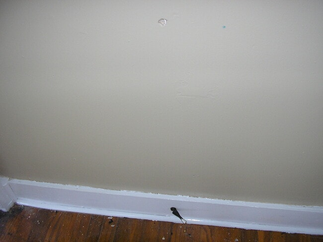 Building Photo - 1275 Durbin Dr