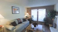 This single-floor living space centers around a comfortable, well-appointed living room that balances warmth and functionality. The room features hardwood-style flooring that adds a clean, polished look throughout. A large window dressed with sheer white curtains allows generous natural light to filter in, creating a bright and airy atmosphere while offering a view of lush greenery outside.

The living room is furnished with a plush light-toned sofa accented by decorative throw pillows, paired with a glass-top coffee table that adds a touch of elegance. A warm-toned accent wall provides visual depth and contrast against the neutral surrounding walls. Thoughtful touches such as potted indoor plants, a classic table lamp, and a framed floral artwork contribute to the space's inviting character.

A textured ceiling adds subtle architectural interest overhead. The overall ambiance is relaxed and homey, with a carefully curated arrangement of furnishings and décor that makes the space feel both lived-in and welcoming. The combination of natural light, greenery, and warm tones creates a serene environment well-suited for everyday living.
