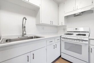 Shady Lane Apartments Photo