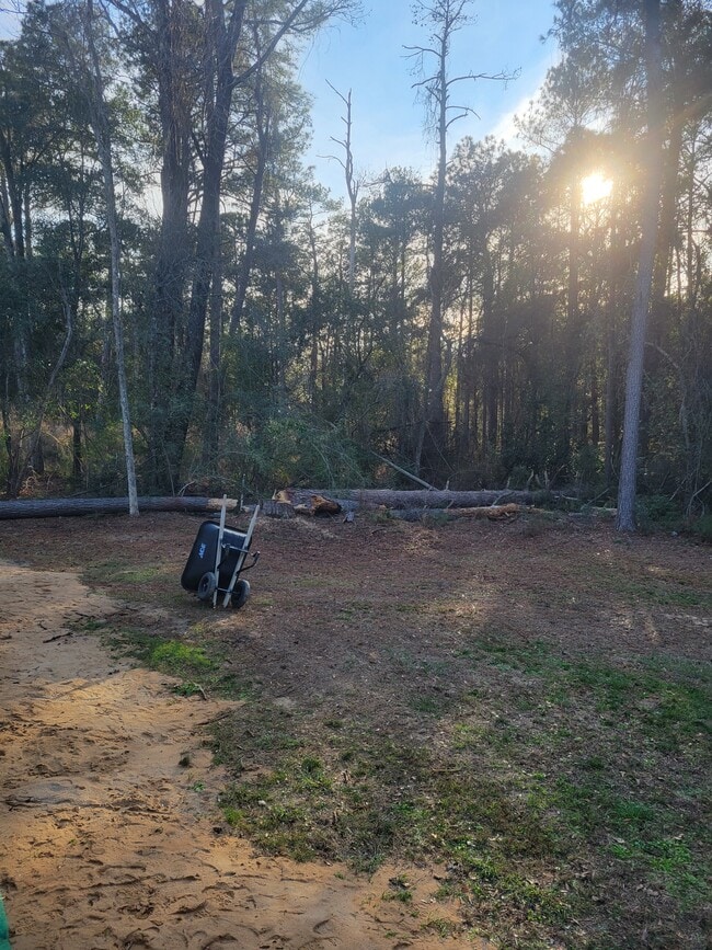 Foto del edificio - 8106 5th St