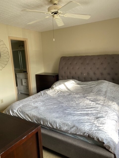 Foto del edificio - 503 Shady Pine Way