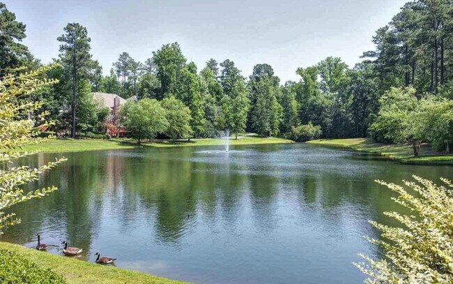 Community pond - 208 Martins Point Pl