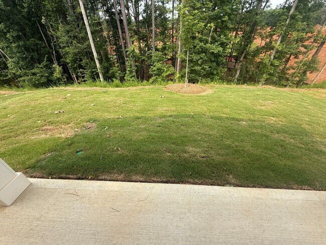 Building Photo - 2304 Grape Vine Wy