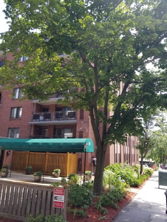 Building Photo - Coolidge Corner, Prime location!  West facing bright condo w/Garage Parking Available 9/1! Walk t...