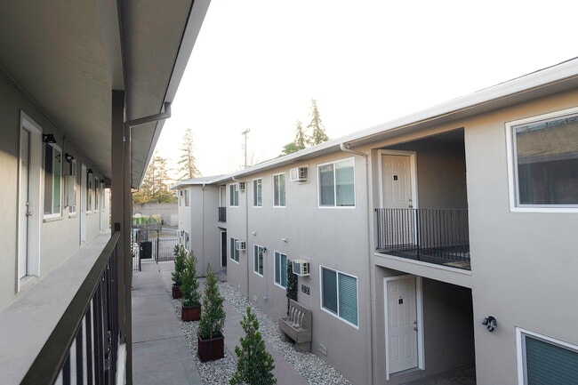 The Canopy - Courtyard - The Canopy