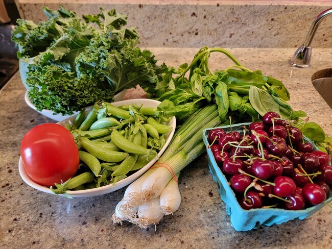 Farmers market haul - across the street every Saturday - 5500 Friendship Blvd