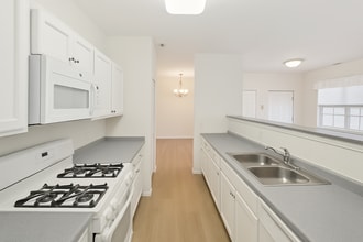 Building Photo - 1155 Mt Vernon Dr