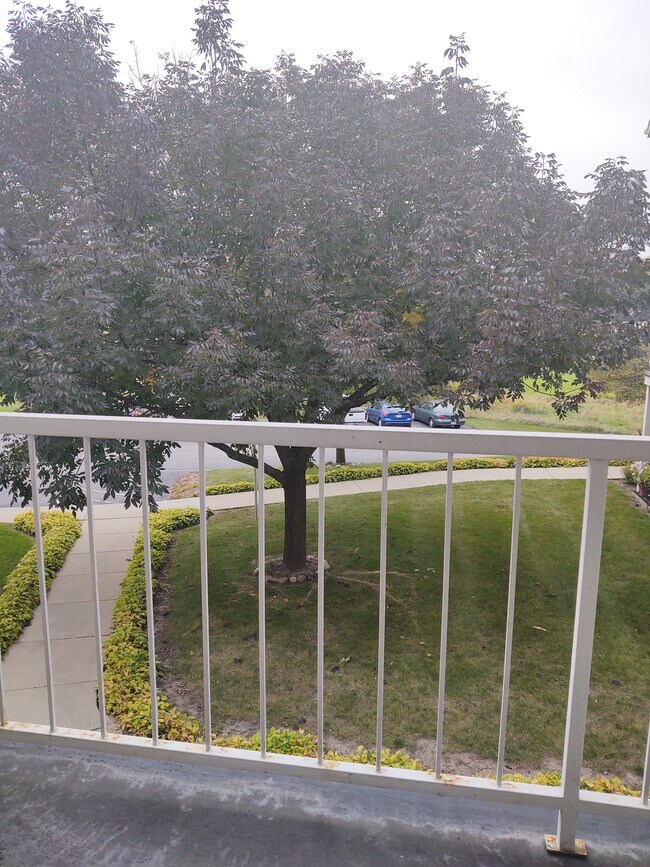 Large deck - 140 W Commerce Blvd