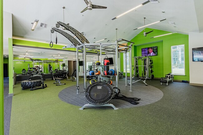 Gimnasio - The Polos