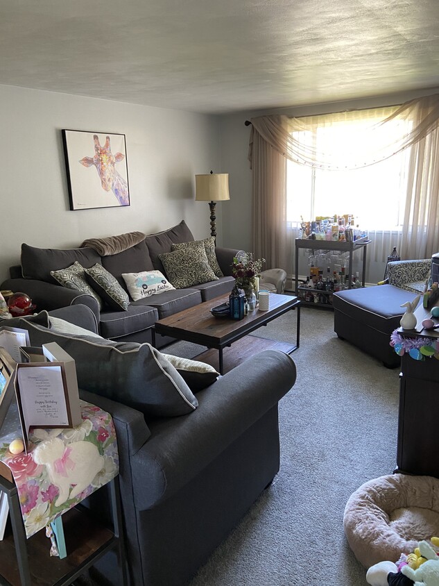 100 Belmont Ave Unit 7, Buffalo, NY 14223 Apartments in Buffalo, NY