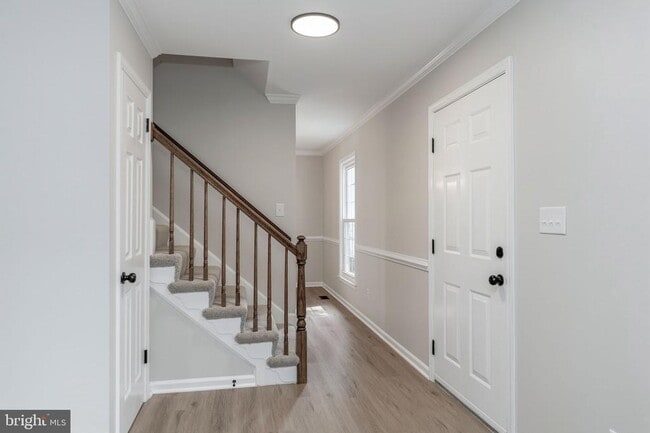 Building Photo - 561 Tiffany Ct
