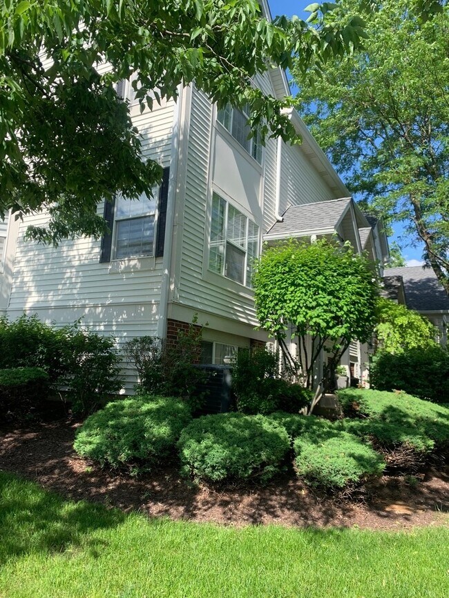 7257 Flagg Creek Dr, La Grange, IL 60525 Townhome Rentals in La