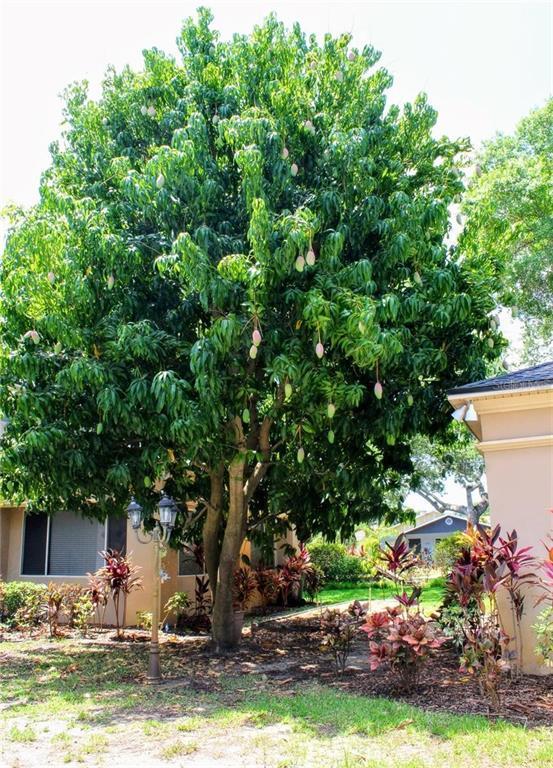 Foto del edificio - 5611 S Sherwood Ave