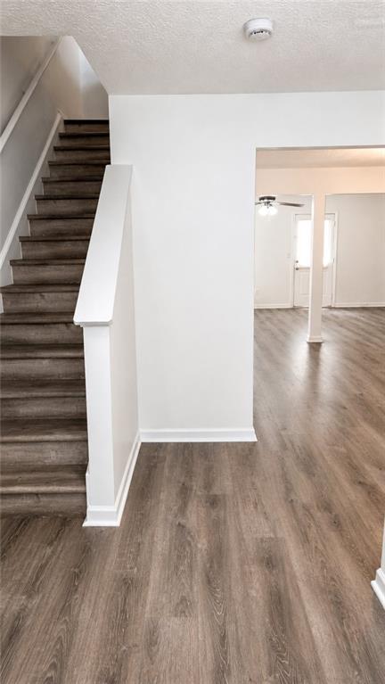 Building Photo - 2861 Creek Bottom Ct