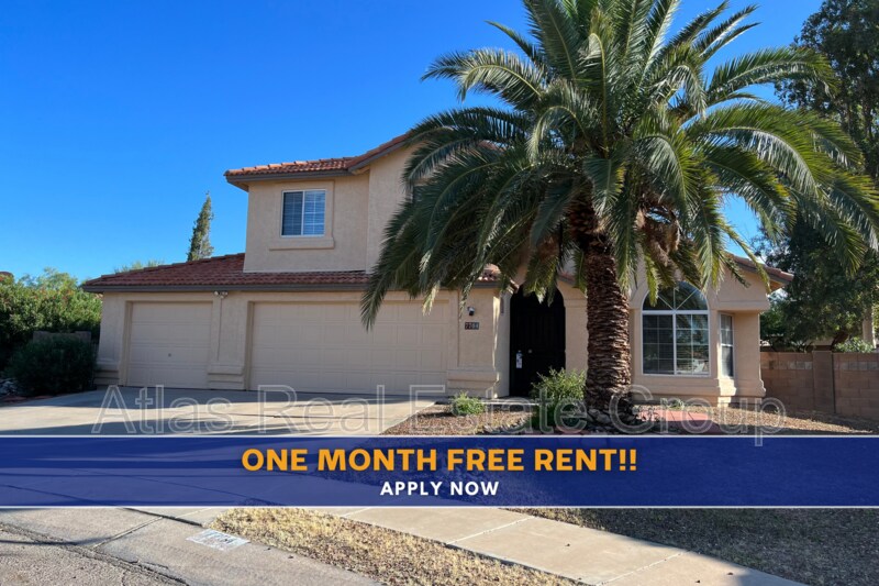 Tucson, 
                        , –