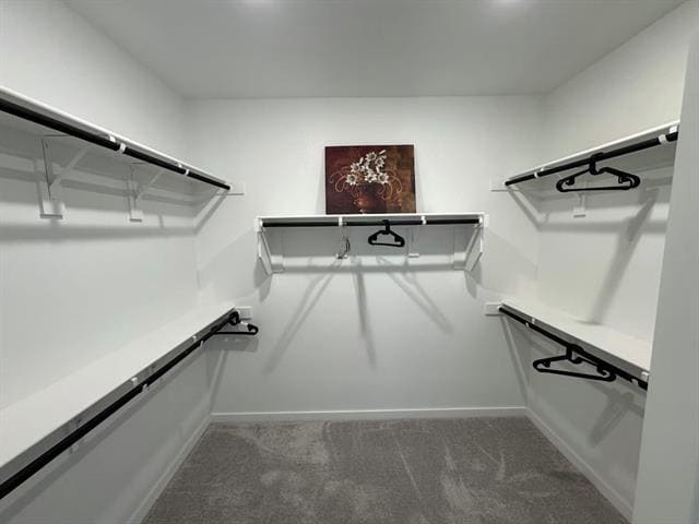 Foto del edificio - 229 Invermore Dr