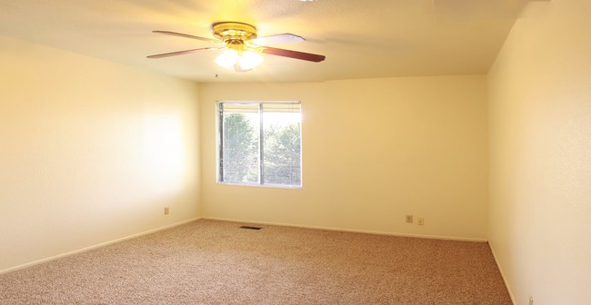 2 BR Flat Master Bedroom - Union Village Apartments