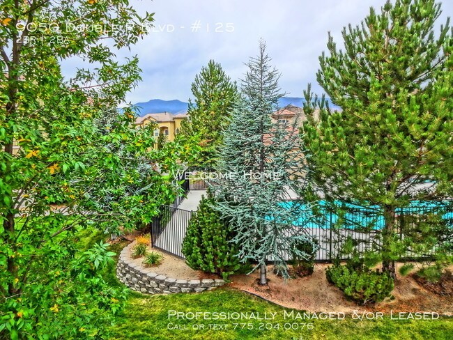 Spacious Triana North Townhome Apartment For Rent In Reno Nv Apartments Com