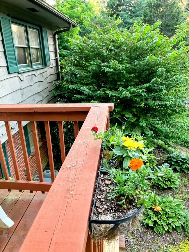 Photo - 38 Bulldog Ln House