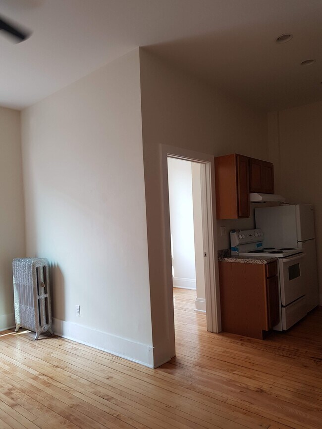 1 bedroom apartment - 227 E Chicago St