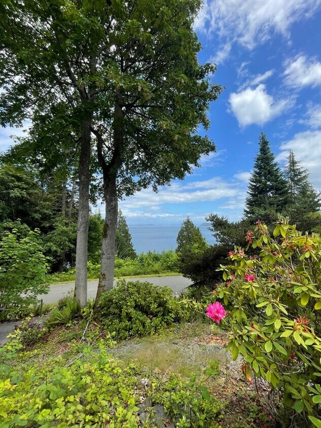 Foto principal - One Bedroom with A View in Port Ludlow