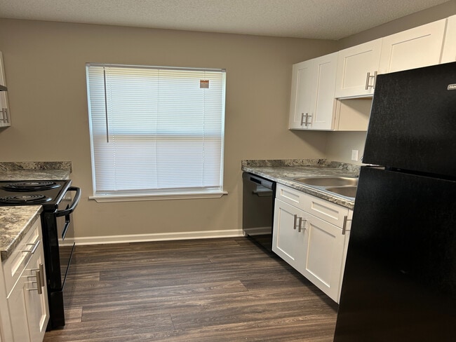 Imagen_1303 - Somerset