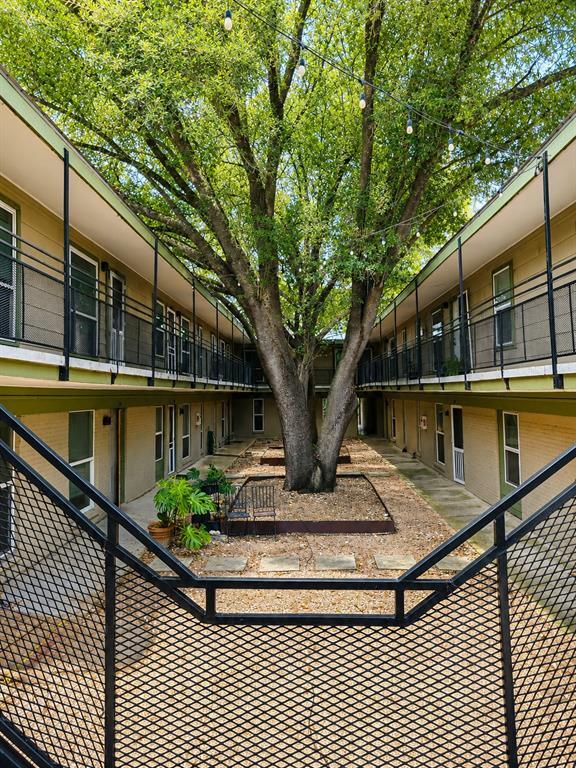 Foto del edificio - 2021 Bluebonnet Ln