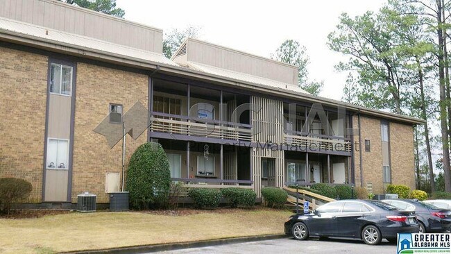 Building Photo - 3101 Lorna Rd