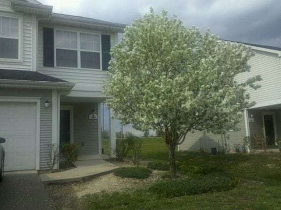 Building Photo - 191 Southfield Dr