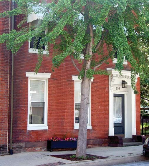 Primary Photo - Shaw Apartments
