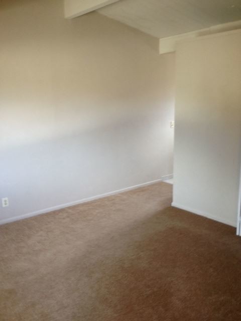 Building Photo - 1136 Carson St