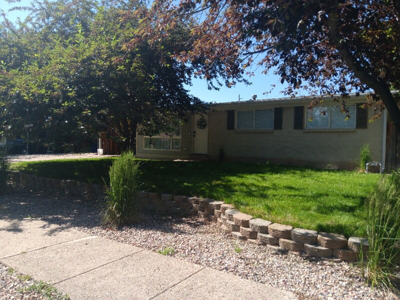 Primary Photo - 7 E Diamond St