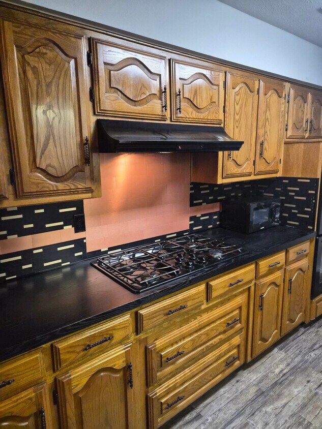 Photo - 1108 Waterview Ln (DeSoto, TX)