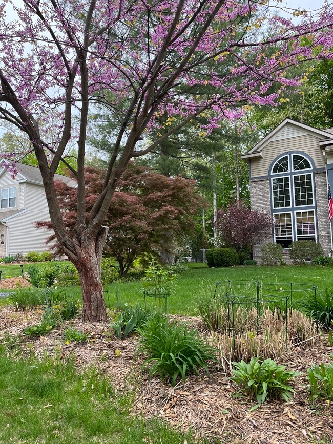 Building Photo - 13371 Greenbriar Dr