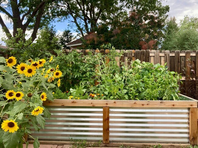 Building Photo - 1500 Ashcroft Dr