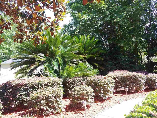 Building Photo - 5655 Sioux Dr