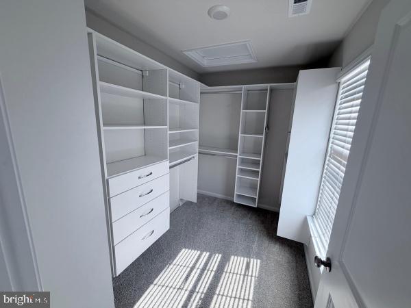 Foto del edificio - 255 Maple Run Dr