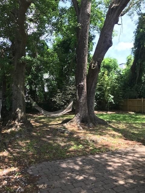 Foto del edificio - 216 Live Oak Avenue