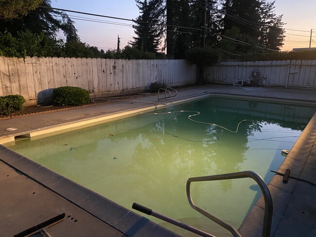 Piscina - 249 W Sample Ave