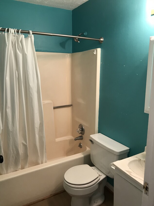 Upstairs full bath, larger linen closet off hall. - 735 Park Cir