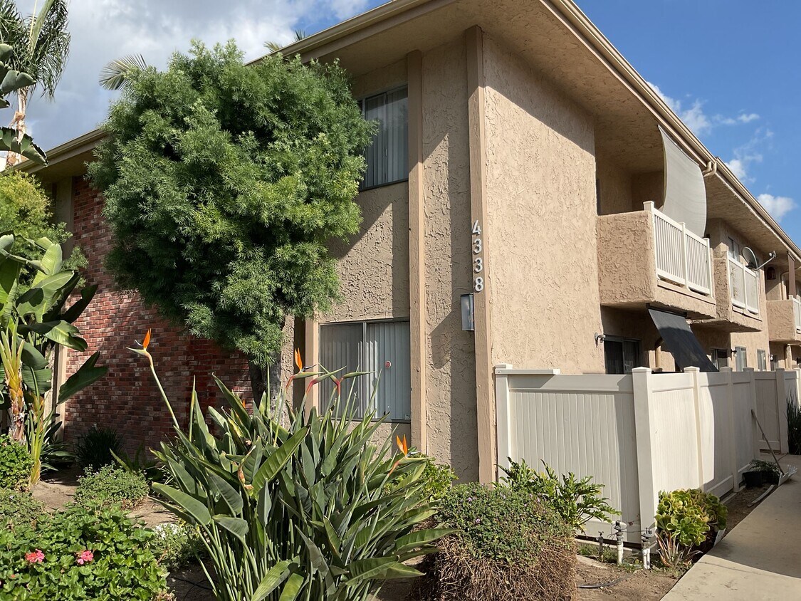 Foto del edificio - 4338 Mammoth Ave Apartments
