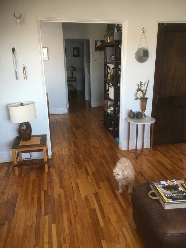 Hardwood floors - 569 Portland Ave