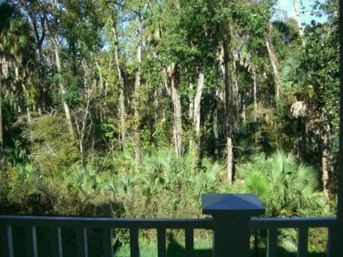 Foto principal - 1230 Wright Circle, Unit 214, Celebration,...