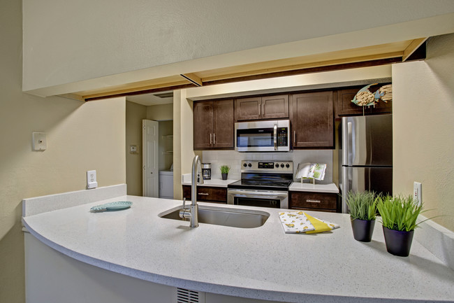 Brand New Kitchens - Arbors at Wolf Pen Creek Apartments